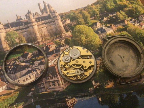 Montre militaire poilu en - militaire,