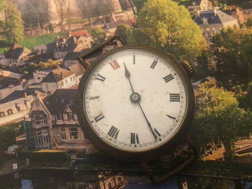 Montre militaire poilu - militaire, en